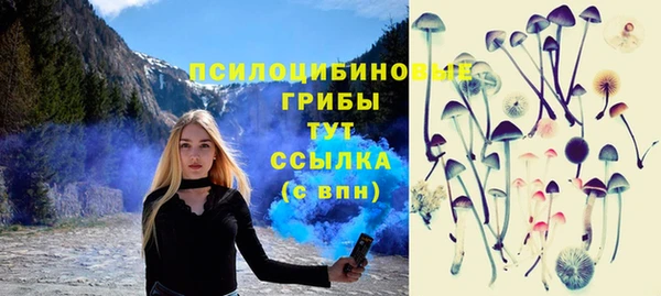 мдпв Михайловка